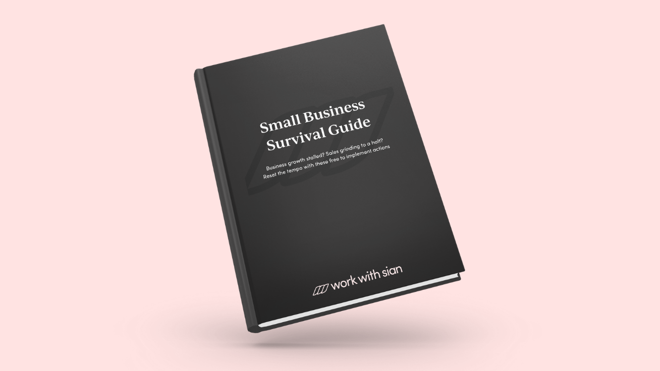 Business Guide Book Cover