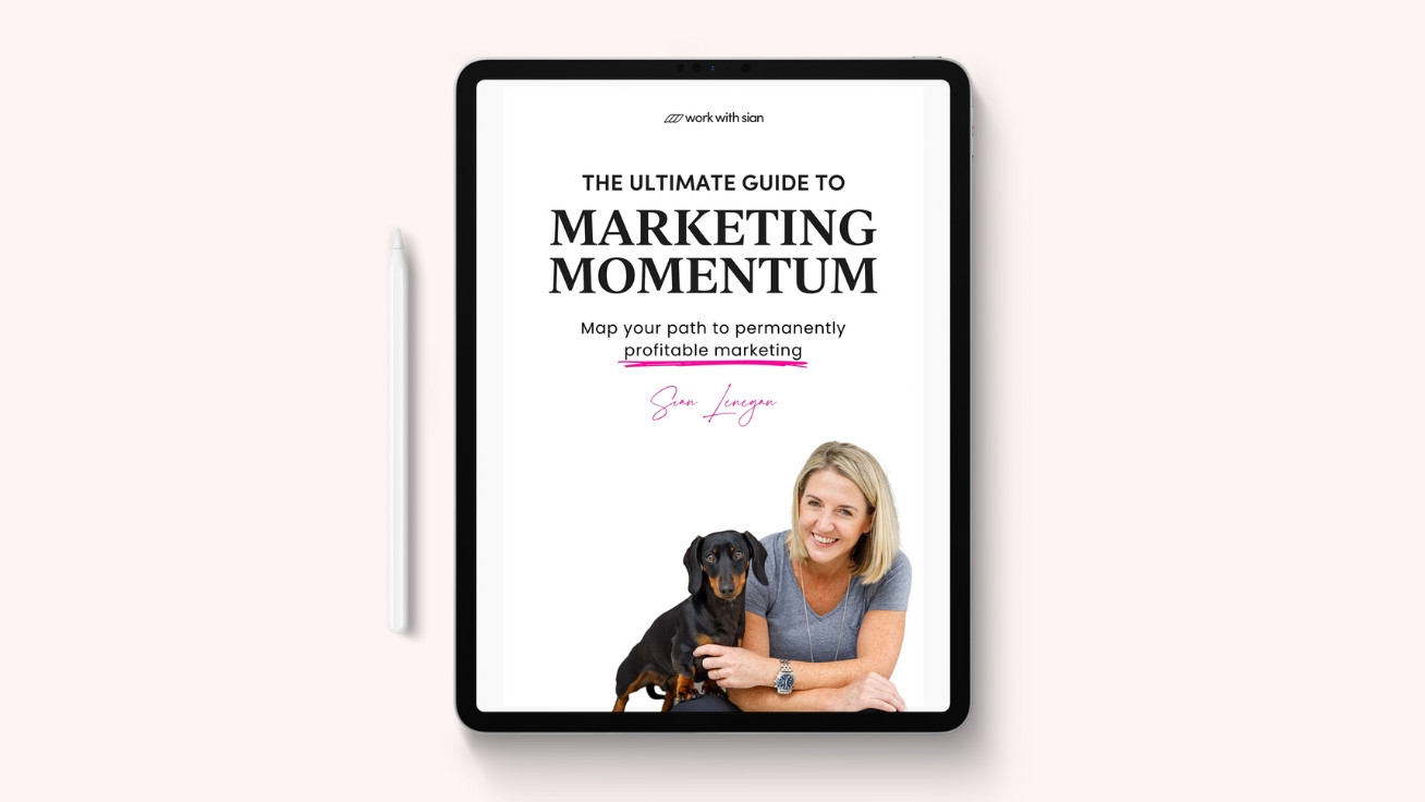 guide to marketing momentum